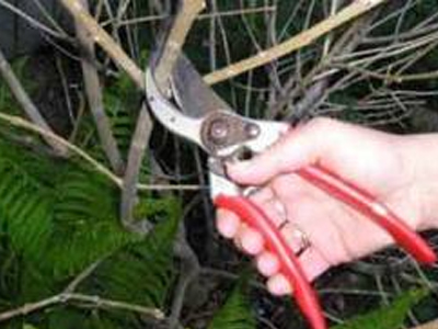 Άφησε την τελευταία του πνοή εν ώρα εργασίας